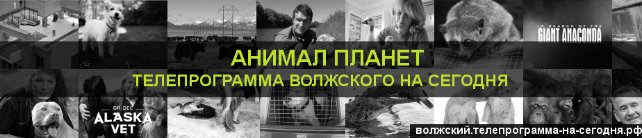 Телепрограмма на сегодня канала Анимал Планет, Волжский