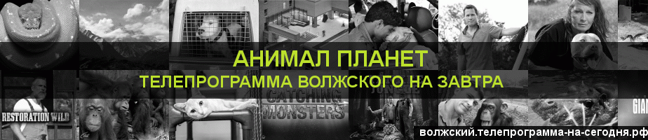 Телепрограмма на завтра канала Анимал Планет, Волжский