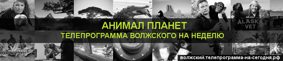 Телепрограмма на неделю канала Анимал Планет, Волжский